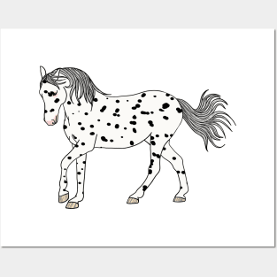 Leopard Appaloosa Horse Posters and Art